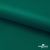 Ткань подкладочная Таффета, 19-5420, 53 г/м2, антистатик, шир. 150 см, вечнозеленый - купить в Саранске. Цена 57.16 руб.