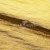 Текстильный материал "Диско"#1805 с покрытием РЕТ, 40гр/м2, 100% полиэстер, цв.5-золото - купить в Саранске. Цена 412.36 руб.