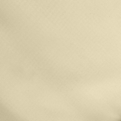 Ткань подкладочная Таффета 14-1014, антист., 53 гр/м2, шир.150см, цвет бежевый - купить в Саранске. Цена 62.37 руб.