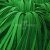 Шнур 15мм плоский (100+/-1м) №16 зеленый - купить в Саранске. Цена: 10.21 руб.