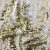 Трикотажное полотно, Сетка с пайетками, шир.130 см, #315, цв.-белый/золото - купить в Саранске. Цена 693.39 руб.