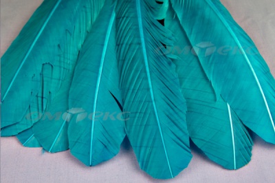 Декоративный Пучок из перьев, перо 24см/голубой - купить в Саранске. Цена: 12.19 руб.