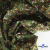 Ткань костюмная «Микровельвет велюровый принт», 220 г/м2, 97% полиэстр, 3% спандекс, ш. 150См Цв  #9 - купить в Саранске. Цена 430.78 руб.