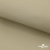 Ткань подкладочная TWILL 230T 14-1108, беж светлый 100% полиэстер,66 г/м2, шир.150 cм - купить в Саранске. Цена 90.59 руб.