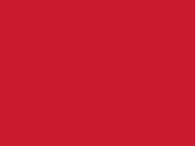 Сетка подкладочная красный, 60г/м2 (10 м/кг) - купить в Саранске. Цена 894.77 руб.