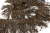 008-коричневый, Бахрома арт.001 шир.10см (упак.12+/-0,5м) - купить в Саранске. Цена: 1 017.33 руб.