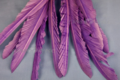 Декоративный Пучок из перьев, перо 25см/фиолетовый - купить в Саранске. Цена: 12.19 руб.
