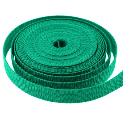 Стропа текстильная, шир. 25 мм (в нам. 50+/-1 ярд), цвет яр.зелёный - купить в Саранске. Цена: 397.52 руб.