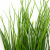 Трава искусственная -4, шт  (осока 50 см/8 см  7 листов)				 - купить в Саранске. Цена: 130.73 руб.