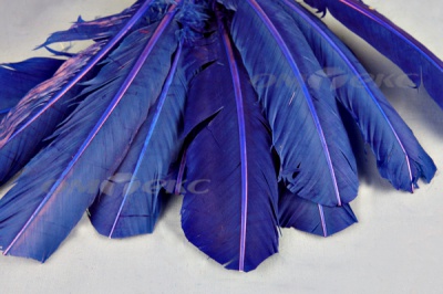 Декоративный Пучок из перьев, перо 23см/синий - купить в Саранске. Цена: 12.34 руб.