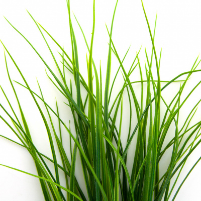Трава искусственная -3, шт (осока 50 см/8 см  5 листов)				 - купить в Саранске. Цена: 124.17 руб.
