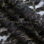 Кружевное полотно XD LACE 1-4, 80 гр/м2, шир.150см, цвет чёрный - купить в Саранске. Цена 248.45 руб.