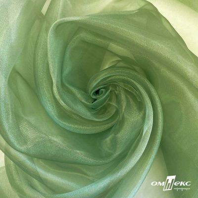 Ткань органза, 100% полиэстр, 28г/м2, шир. 150 см, цв. #27 зеленый - купить в Саранске. Цена 86.24 руб.